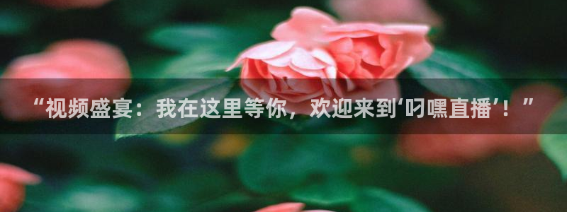 蜘蛛nba免费直播在线直播