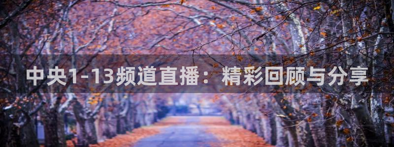 蜘蛛体育