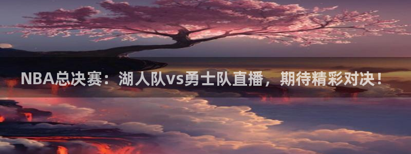 蜘蛛体育直播app下载官网：NBA总决赛：湖人队vs勇士队直播，期待精彩对决！