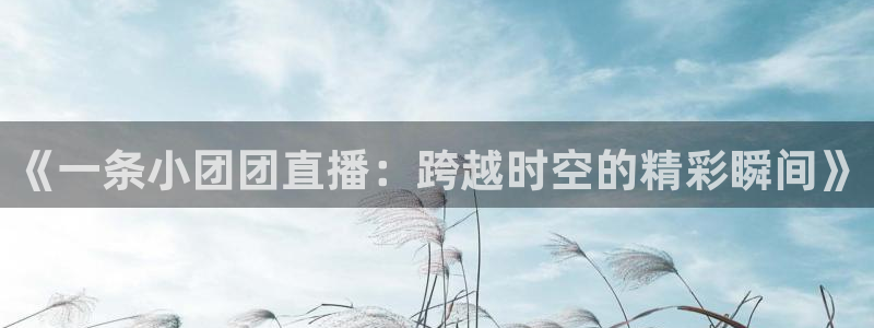 蜘蛛直播体育app：《一条小团团直播：跨越时空的精彩瞬间》