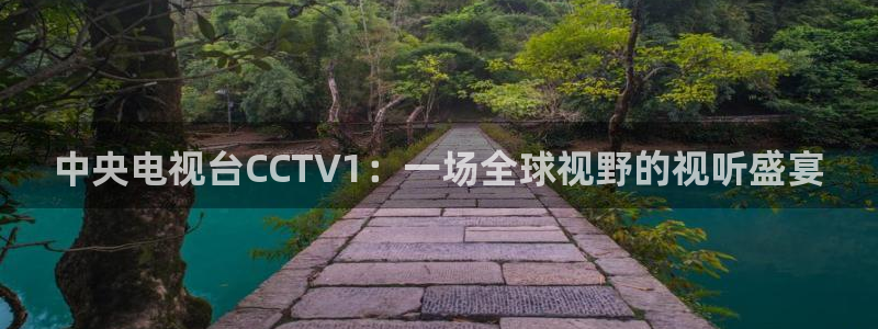 蜘蛛直播 nba：中央电视台CCTV1：一场全球视野的视听盛宴