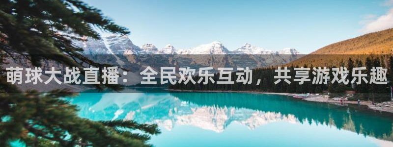 蜘蛛nba直播免费观看：萌球大战直播：全民欢乐互动，共享游戏乐趣